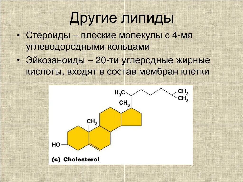 Стероиды липиды. Неомыляемые липиды терпены стероиды. Липиды нейтральные жиры воска фосфолипиды стероиды. Простые липиды стероиды. Классификация липидов биохимия.