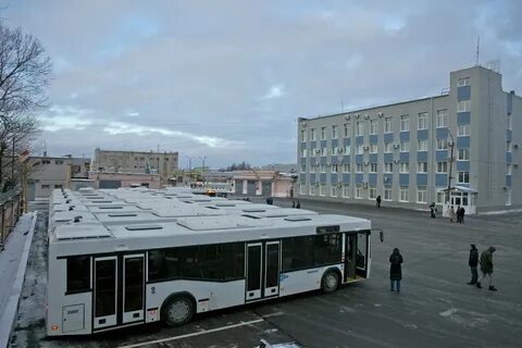Новгород петербург автобусы