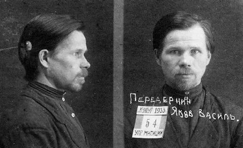 Дело васильевича