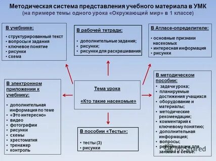 Методическая система виды