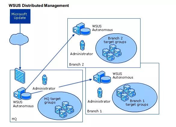 WSUS схема. Windows Server update services. Схема без WSUS. Структура WSUS. Wsus update