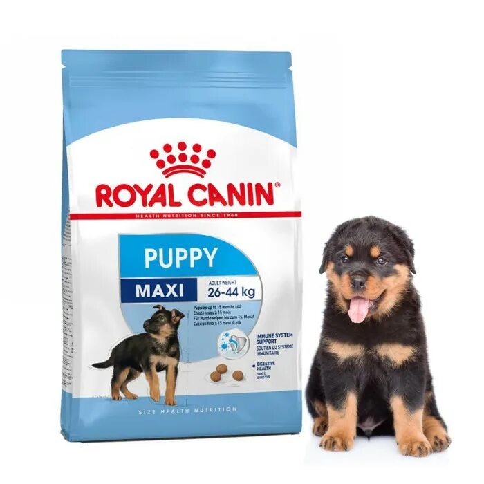 Роял канин макси паппи. Royal Canin Maxi Puppy. Royal Canin Junior Maxi. Роял Канин Паппи макси для щенков.