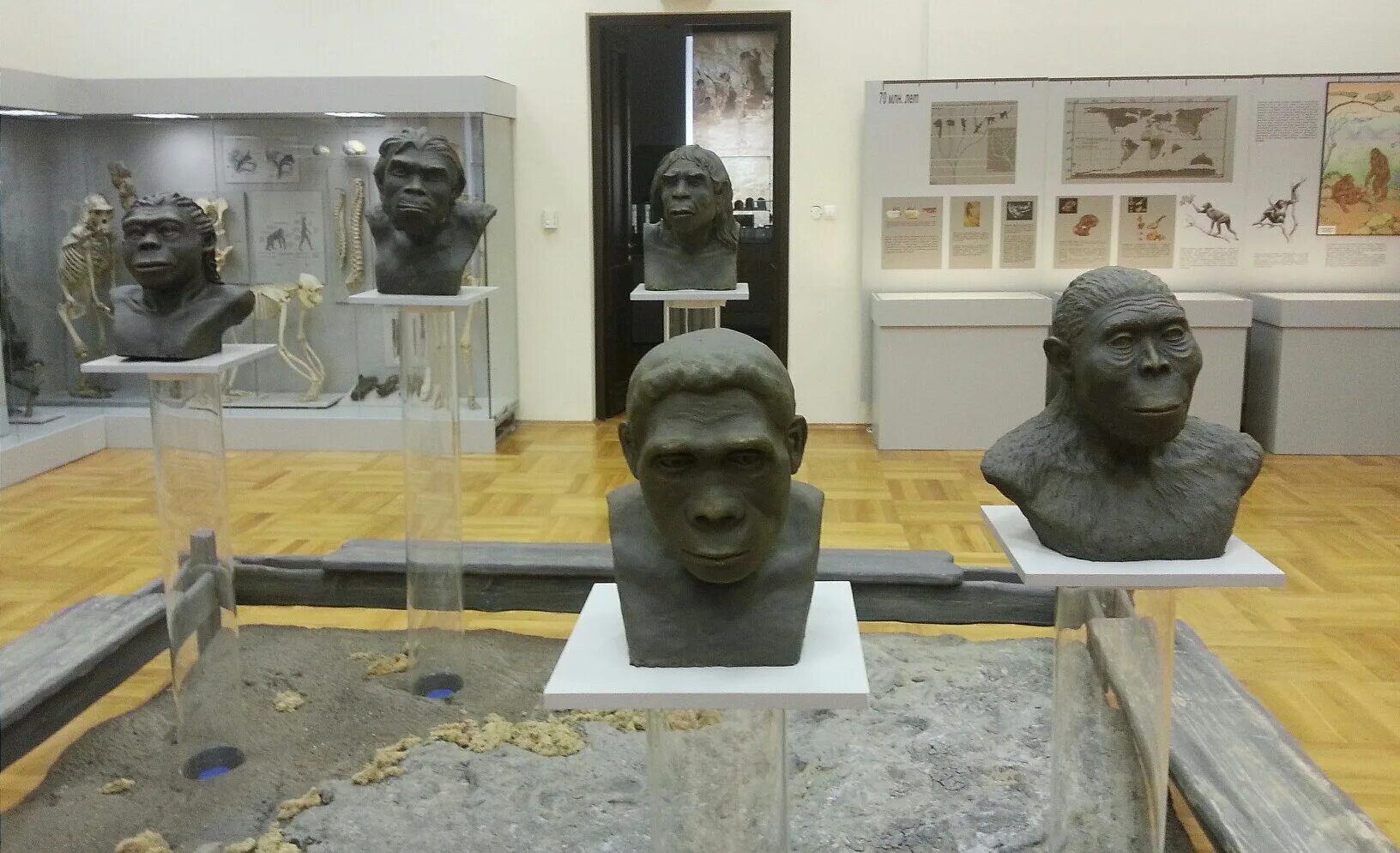 Музей Антропологии. Музей Антропологии / The Museum Of Anthropology