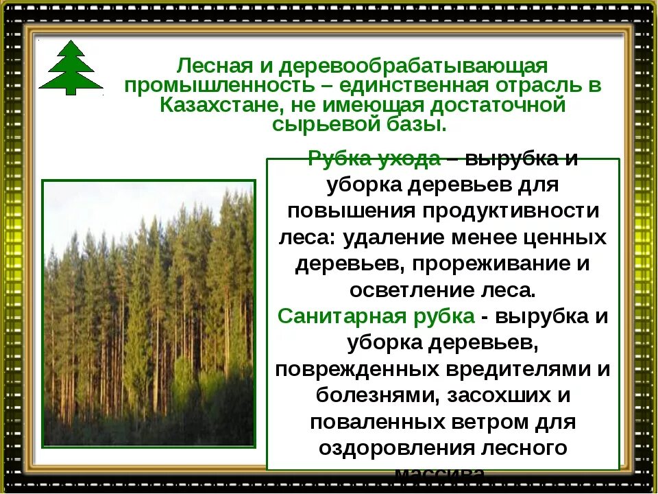 Лесная промышленность география 9 класс тесты