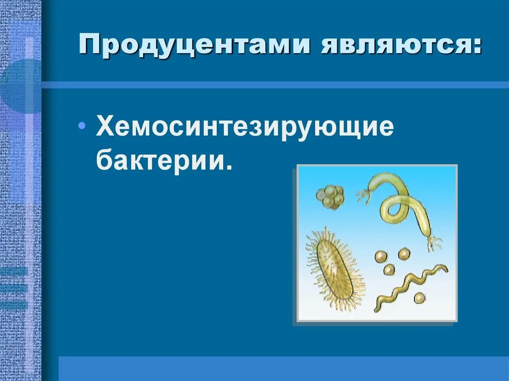 К хемосинтезирующим бактериям относят. Хемосинтезирующие бактерии. Хемосинтезирующие микроорганизмы. Бактерии являются продуцентами. Хемосинтезирующие бактерии являются продуцентами.