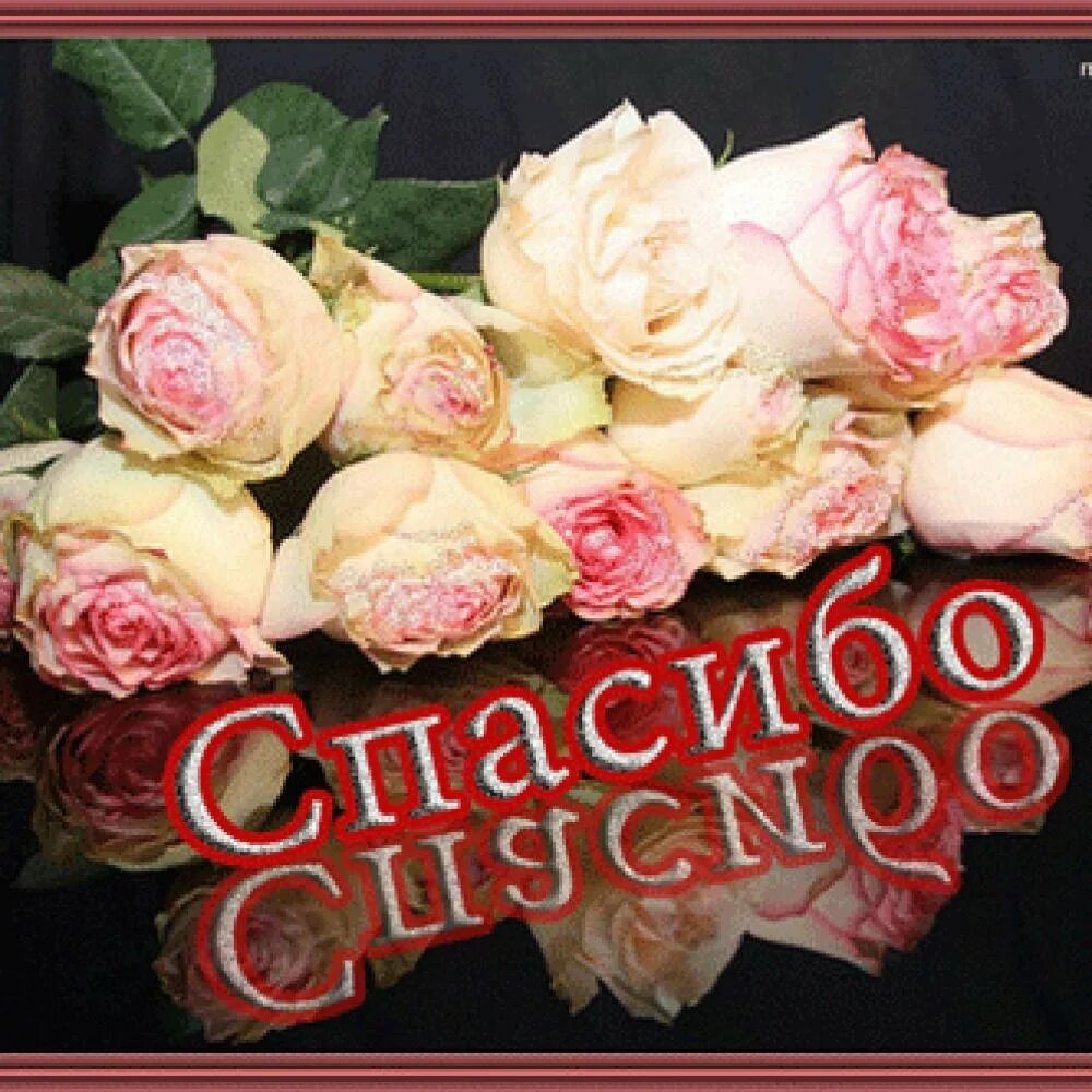 Фото спасибо. Открытки спасибо большое. Благодарность цветы. Красивые открытки с благодарностью. Спасибо за поздравления.