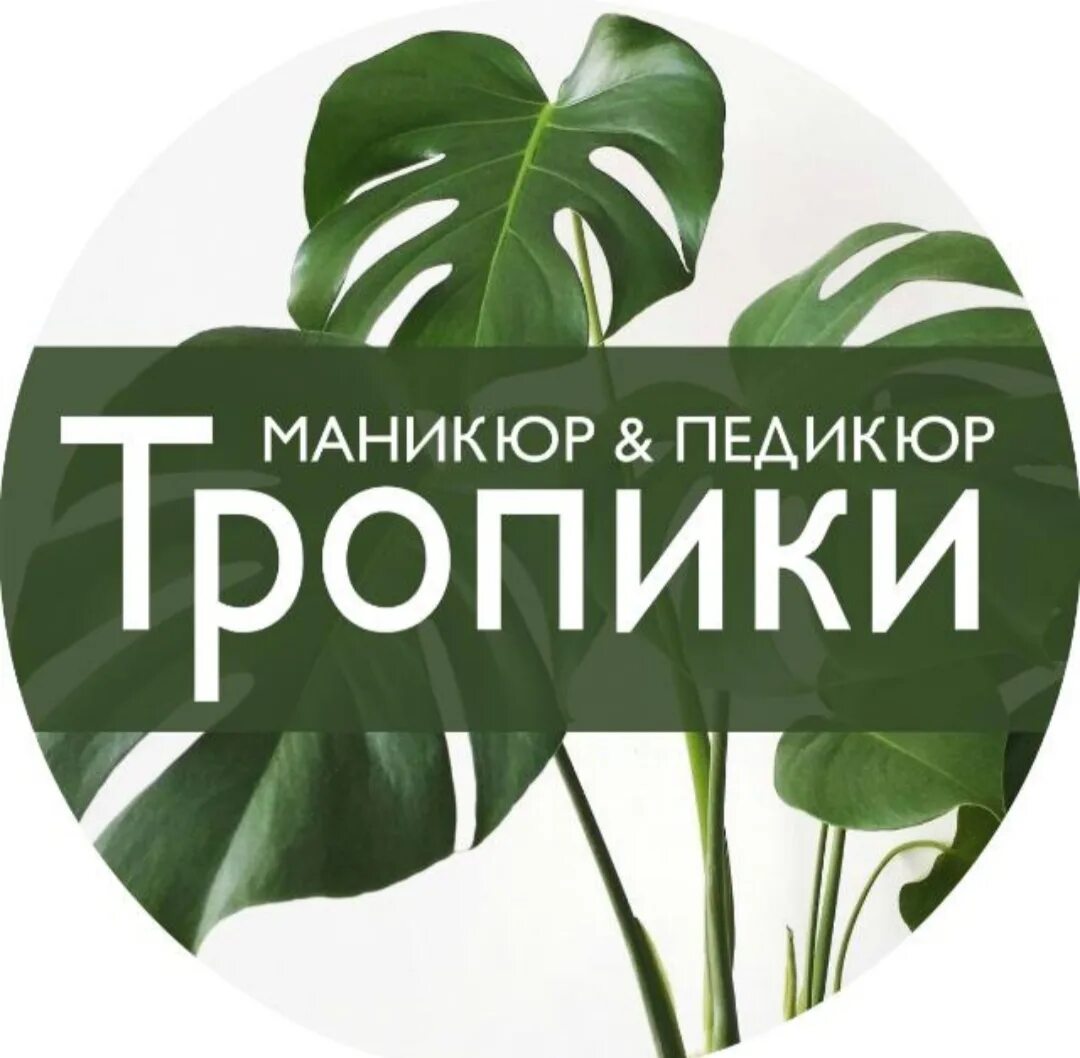 Бьюти коворкинг. Тропики в студии. Тропик студия. Green studio, волжский. Тропик студия.