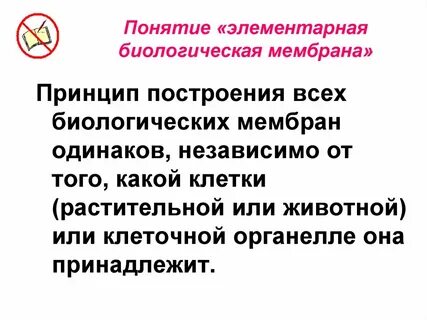 Элементарной биологической системой является