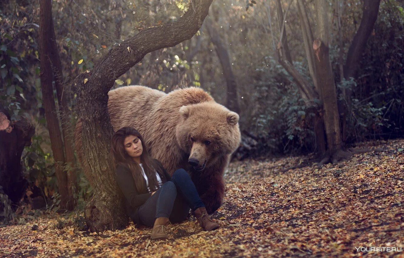 Встреча с диким зверем. Фотосессия с медведем. Фотосессия с медведем в лесу. Девушка и медведь. Медведь в лесу.