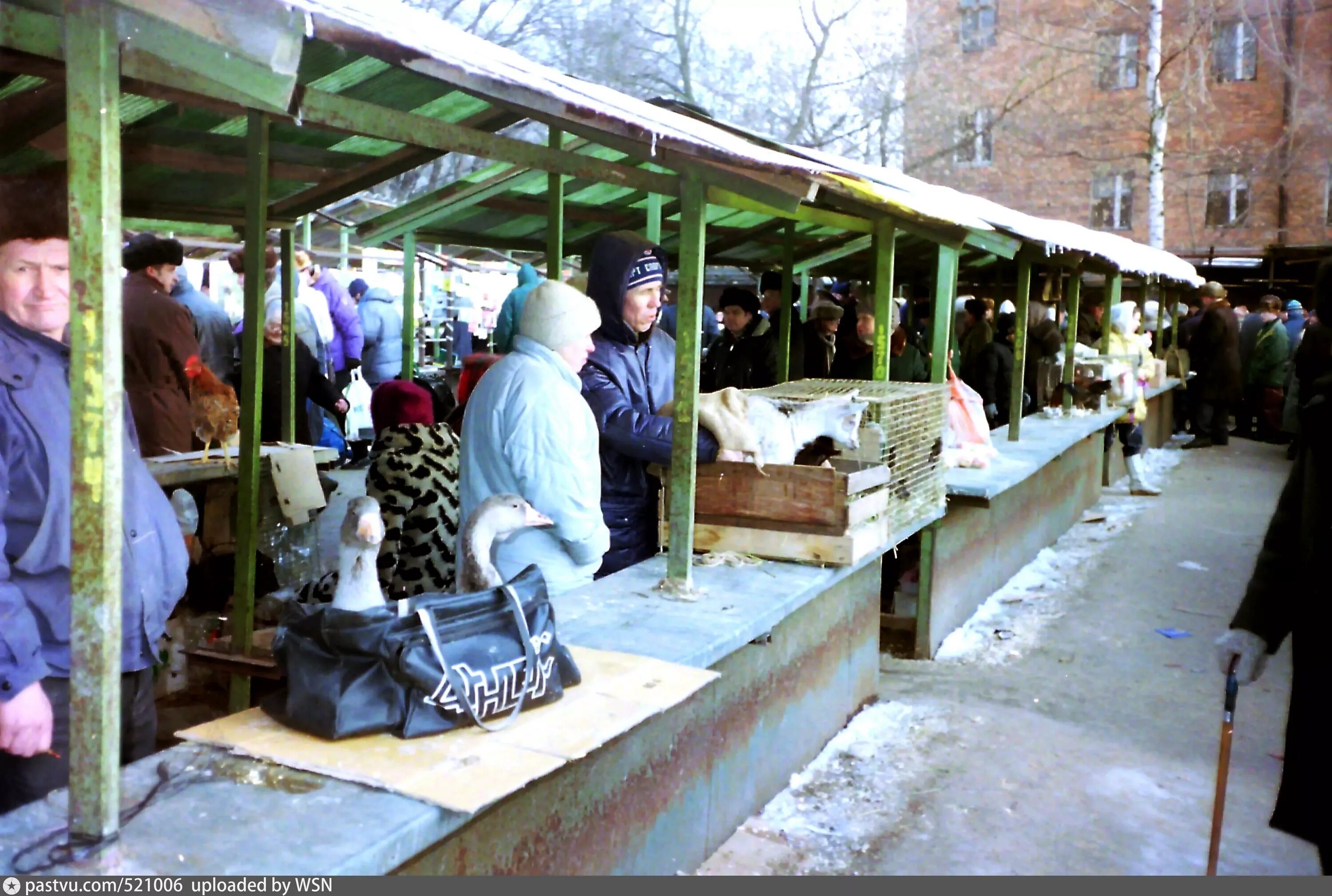 Рынок восток в новосибирске. Старый птичий рынок в москве на таганке. Рынок таганский ряд екатеринбург 1995 год. Птичий рынок москва калитниковская. Старый птичий рынок в москве на таганке.