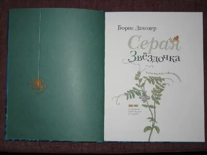 Заходер серая звездочка краткое