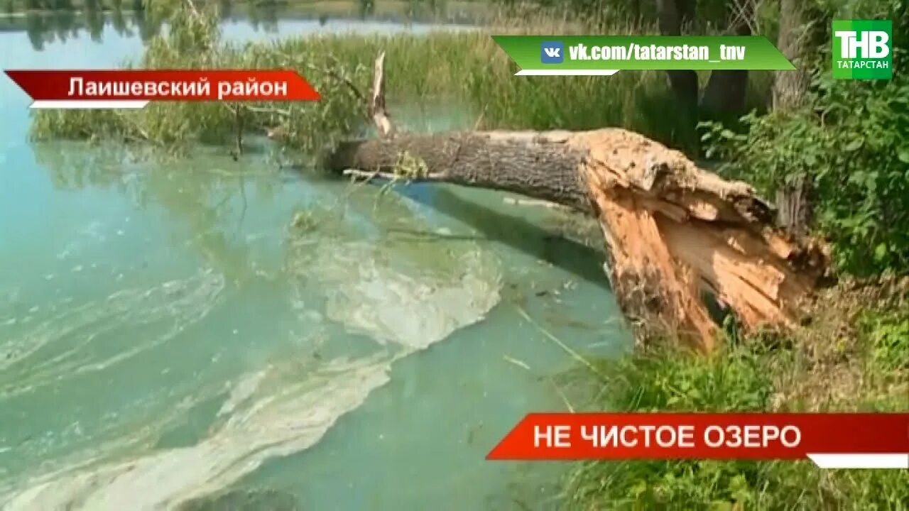 Озеро ковалинское. Озеро тарлаши казань. Озеро чистое лаишево. Снт чистое озеро казань. Тарлаши лаишевский.