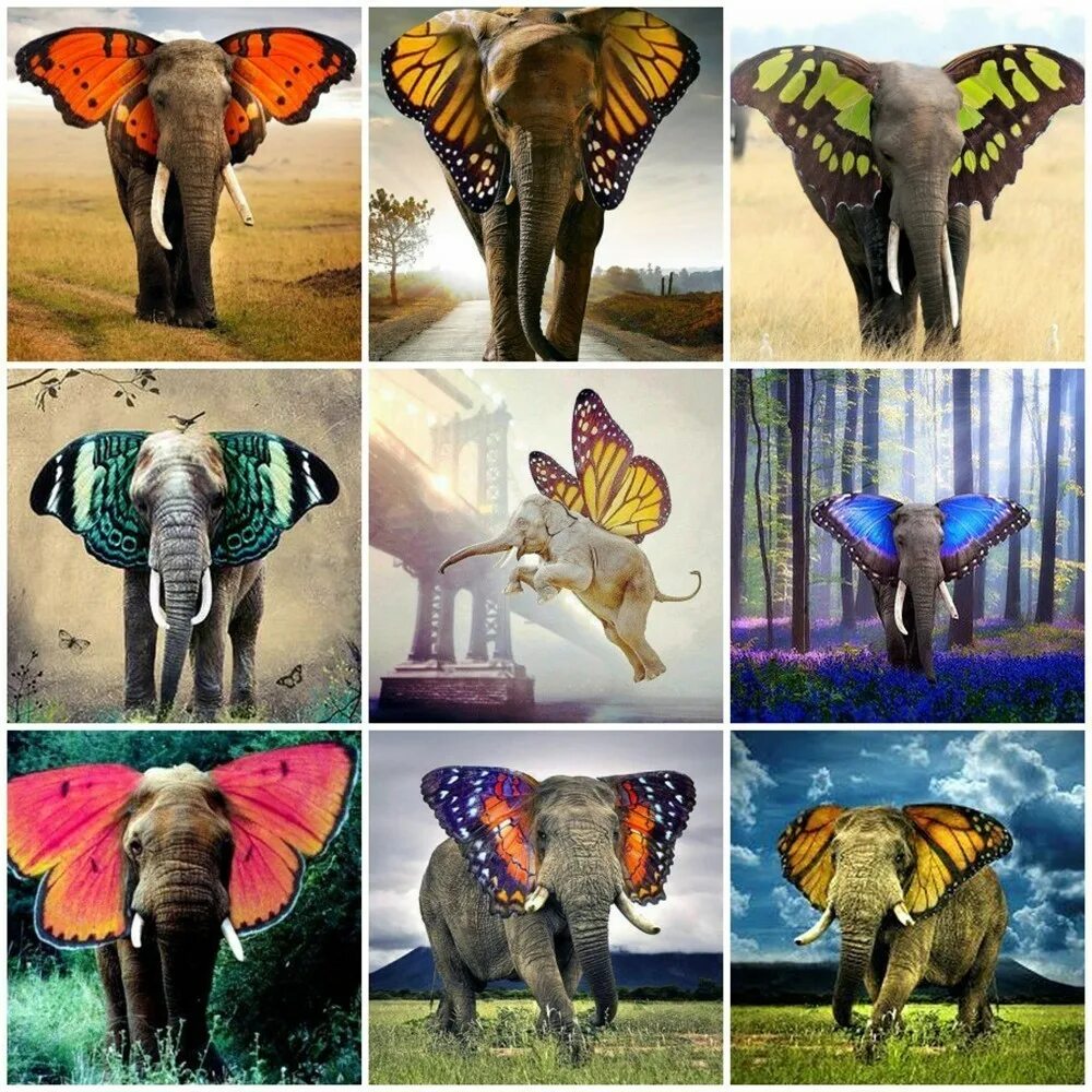 Elephant butterfly. Слоны и бабочки. Слон бабочка. Бывают слоны бабочки. Картина слон и бабочка.