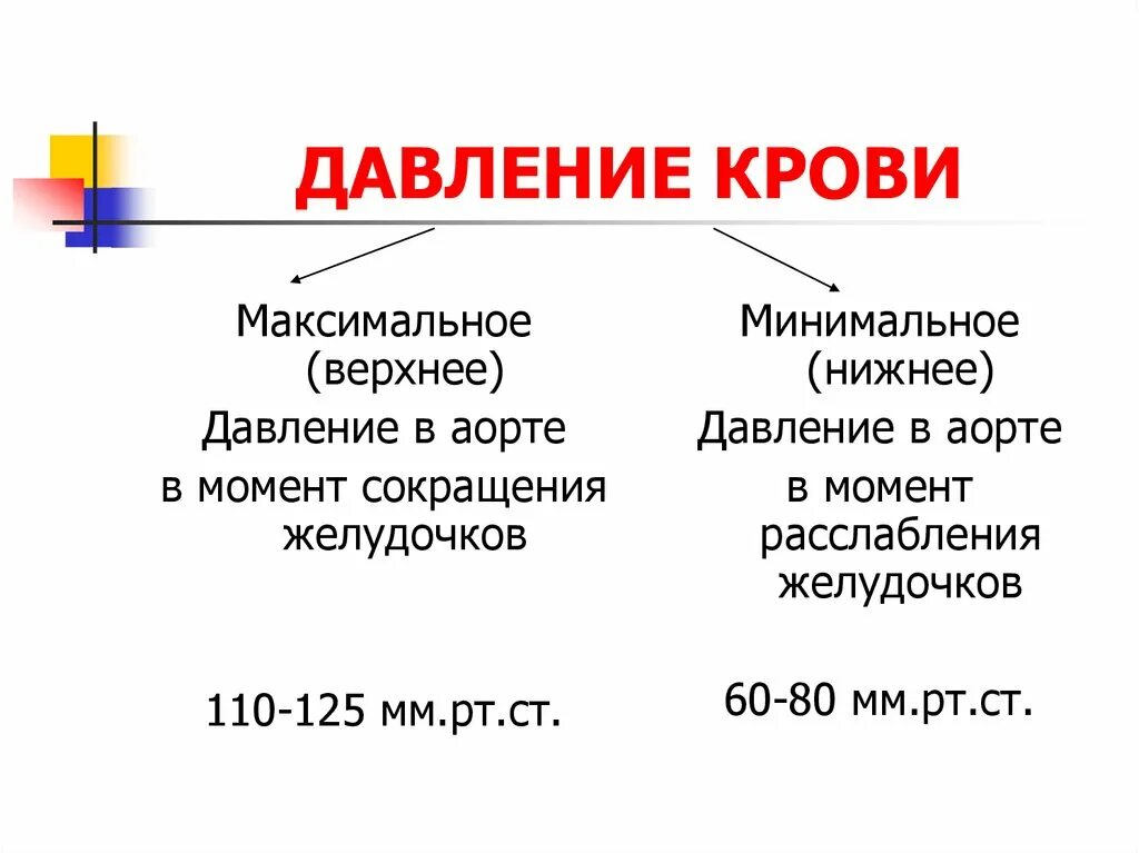 Давление крови. Давление крови в сосудах. Давление крови минимальное в. Максимальное давление крови.