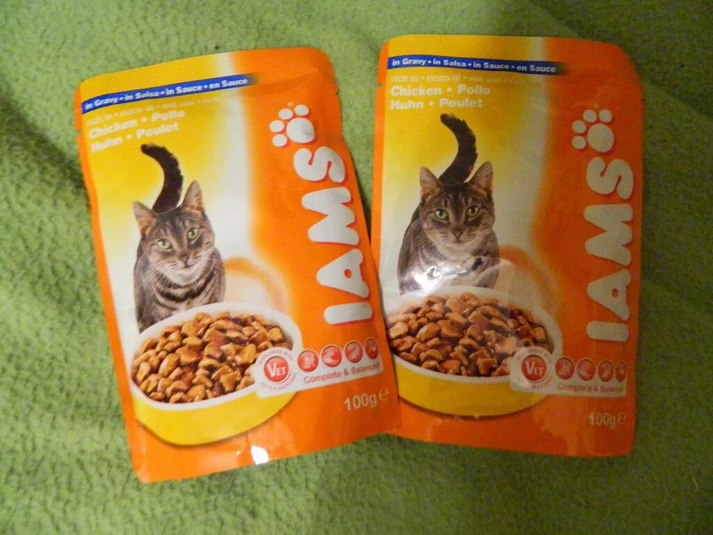 Кошачий корм в пакетиках. Кошачья еда в пакетиках. Корм для кошек в пакетиках. Еда для котов в пакетах.
