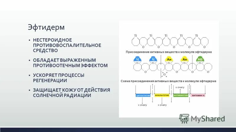 ускоряет процесс регенерации