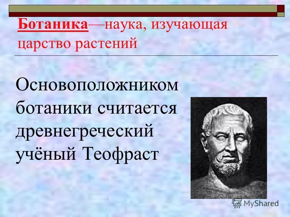 Знания в какой области ботаники