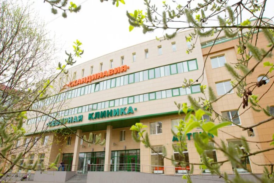 скандинавия ава петер санкт-петербург. скандинавия ава петер. ава петер ильюшина 4. ава петер ильюшина 4. ильюшина 4 санкт-петербург скандинавия.