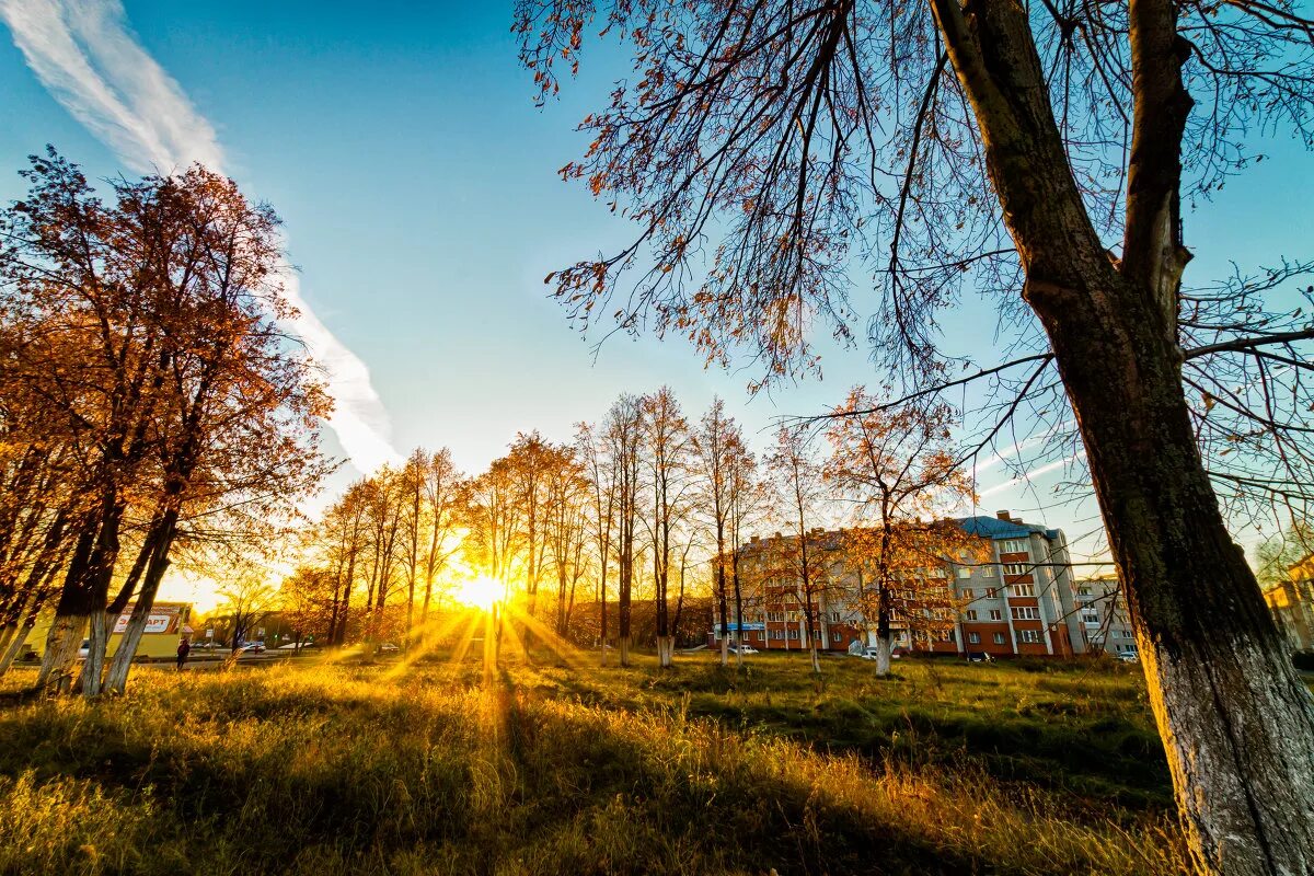 Солнечная осень. Осень солнце. Солнечный день в городе. Осенний рассвет.