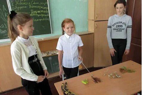 Эбц симферополь сайт