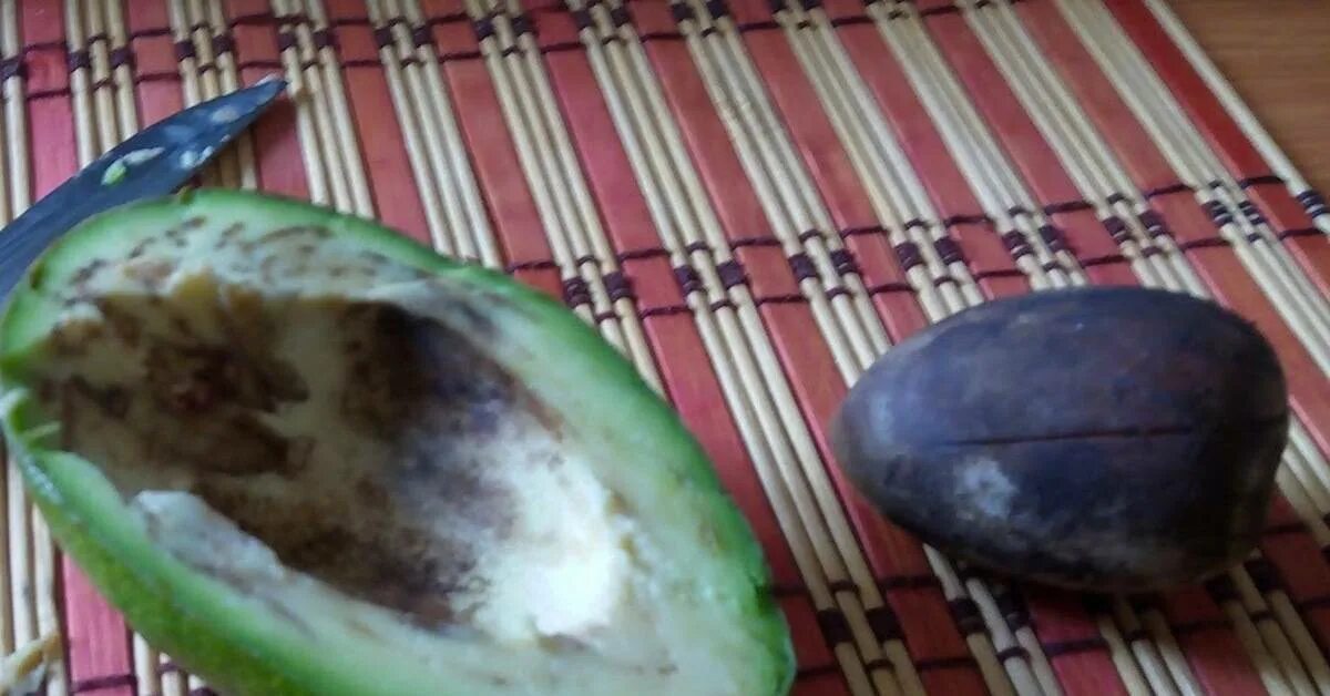 Мякоть авокадо в крапинку. Авокадо мякоть темная. Черные пятна на авокадо внутри. Авокадо внутри. Авокадо темное внутри есть можно
