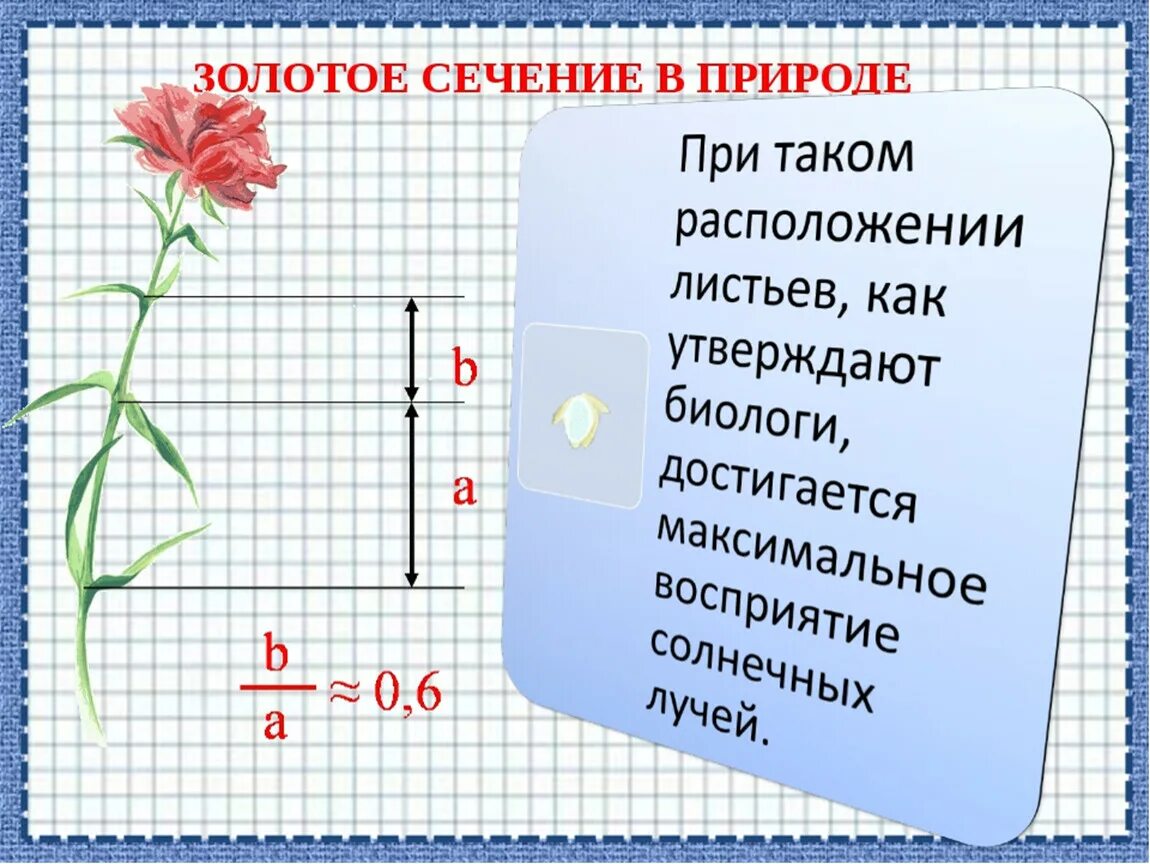 Проект по математике 6 класс темы