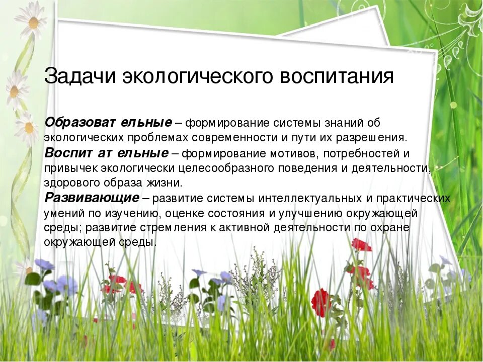 Задачи экологического воспитания. Цели и задачи экологического воспитания. Цели и задачи экологического воспитания в ДОУ. Задачи экологического воспитания детей в ДОУ. Эколог цели