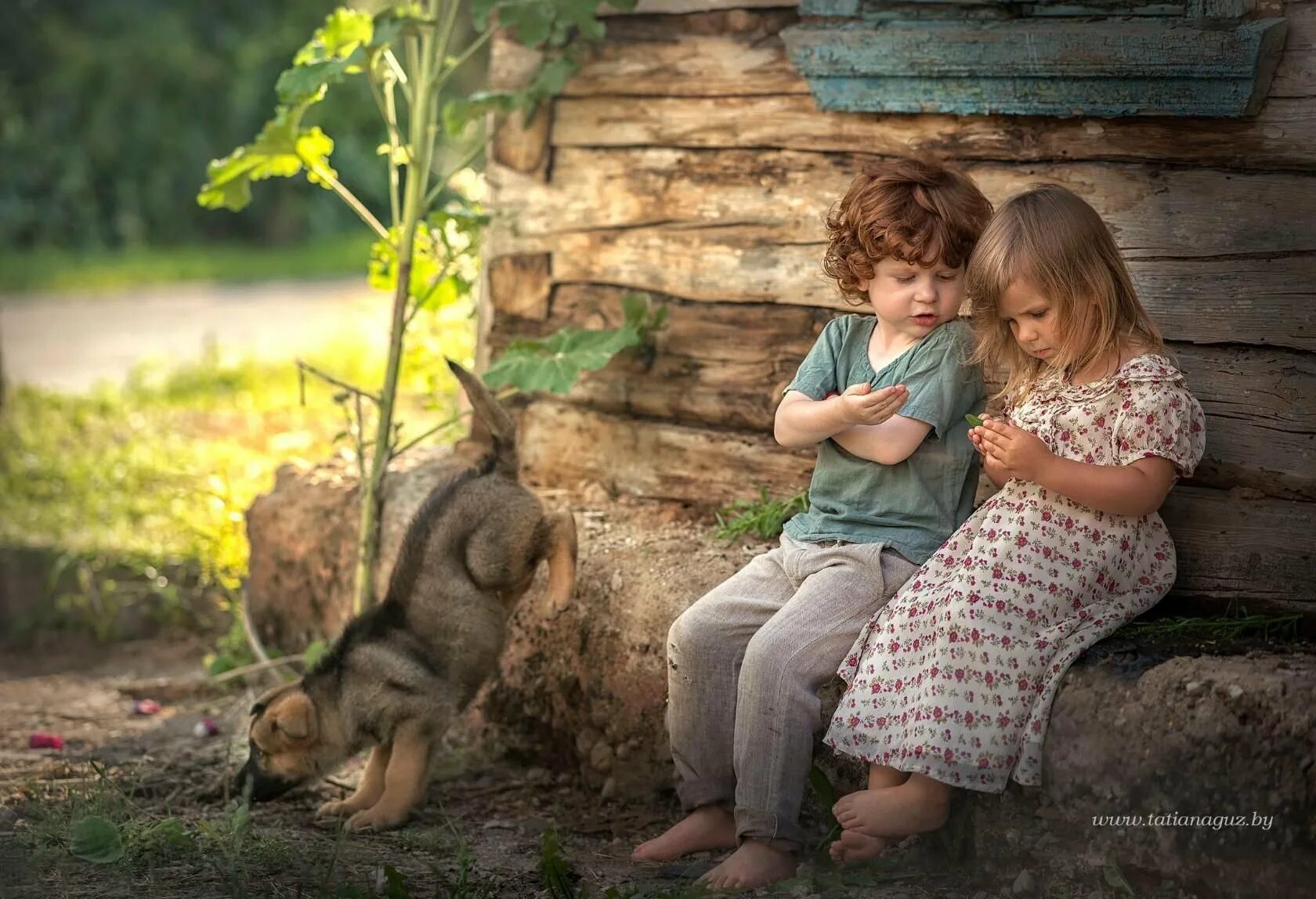 Детская фотосессия в деревне. Сюжетные фотографии. Лето в деревне дети. Лето в деревне детство. Туда где семья