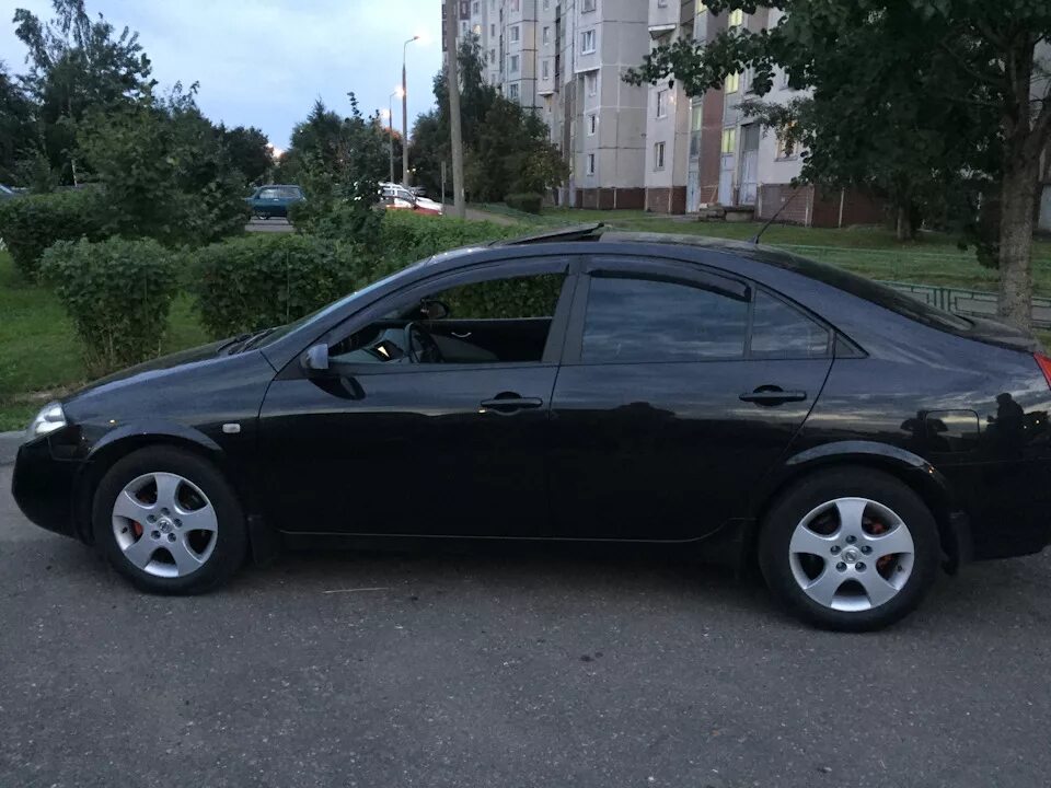Помыл и Фоткнул - Nissan Primera (P12), 1,8 л, 2007 года мойка DRIVE2