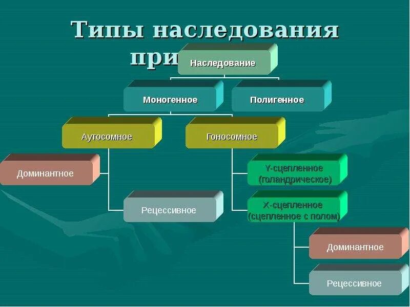 Типы наследования признаков генетика. Классификация основных типов наследования признаков.. Типы наследования в генетике таблица. Рассмотрите типы наследования признаков.. Наследственные признаки биология