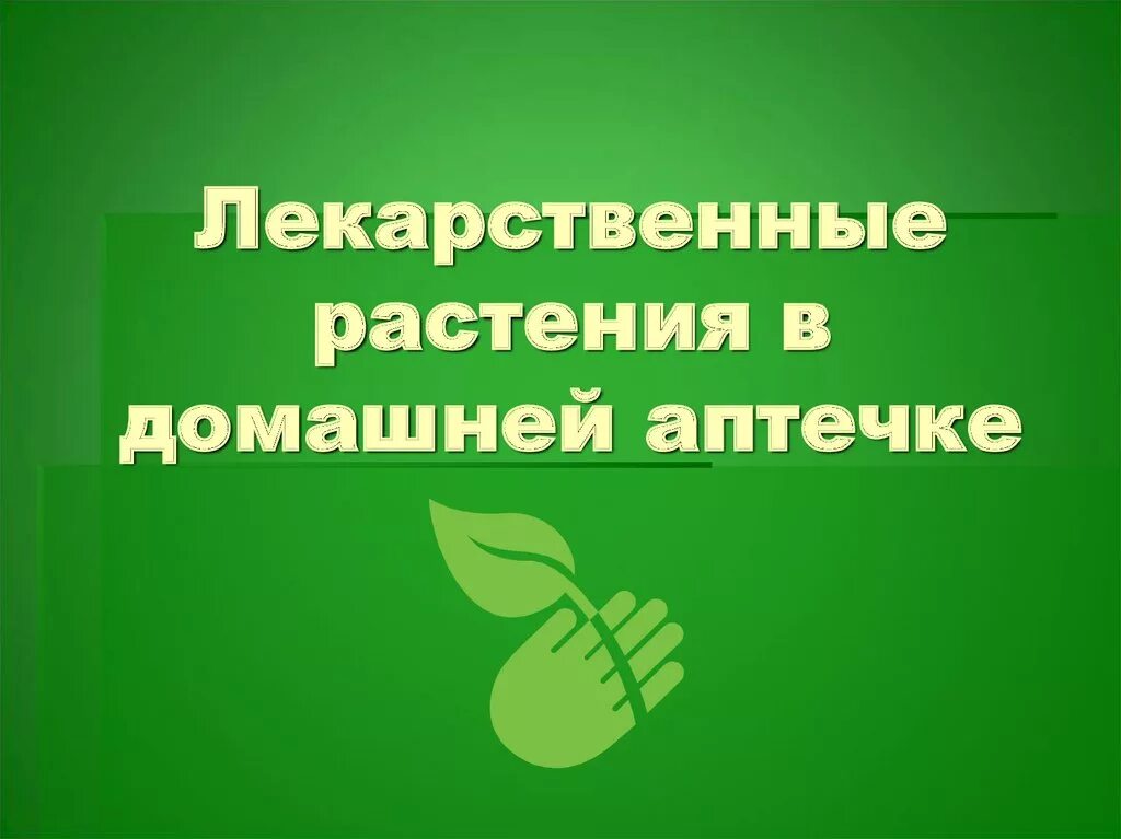 Растения в домашней аптечке. Лекарственные травы в домашней аптечке. Пасоение в домашней аптечке. Сообщение про лекарственные растения домашней аптечки. Растения в домашней аптечке 2