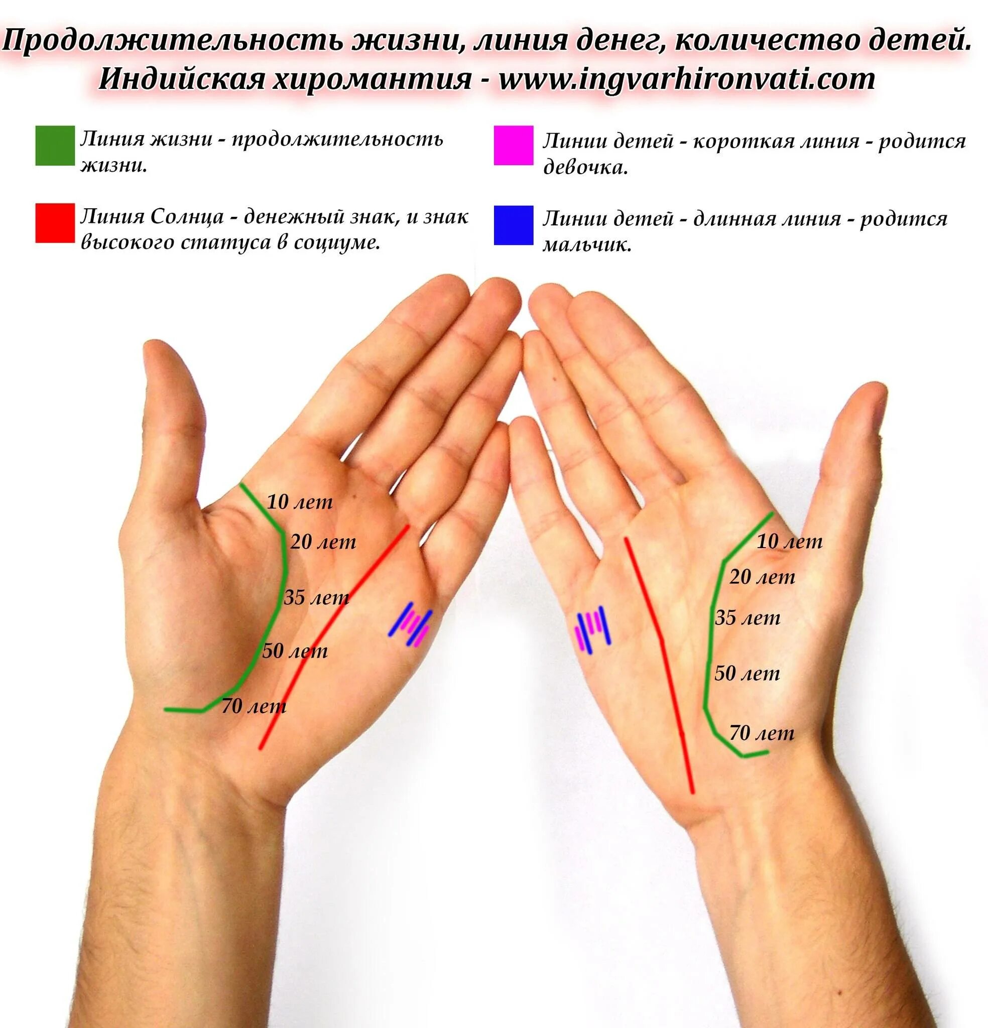 Хиромантия какие линии. Линия жизни на руке. Линия жизни на ладони. Хиромантия линия жизни. Линлиния жизни на руке.