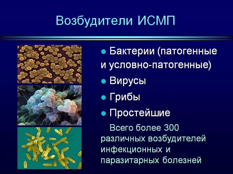 Какие инфекции вызывают. Возбудители ВБИ микроорганизмы. Источники возбудителей ИСМП. Основные возбудители ИСМП. Бактерии возбудители ИСМП.