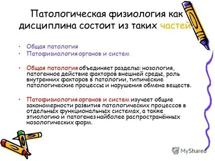 Дисциплина состоит из