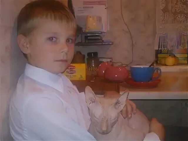 Шумов 55