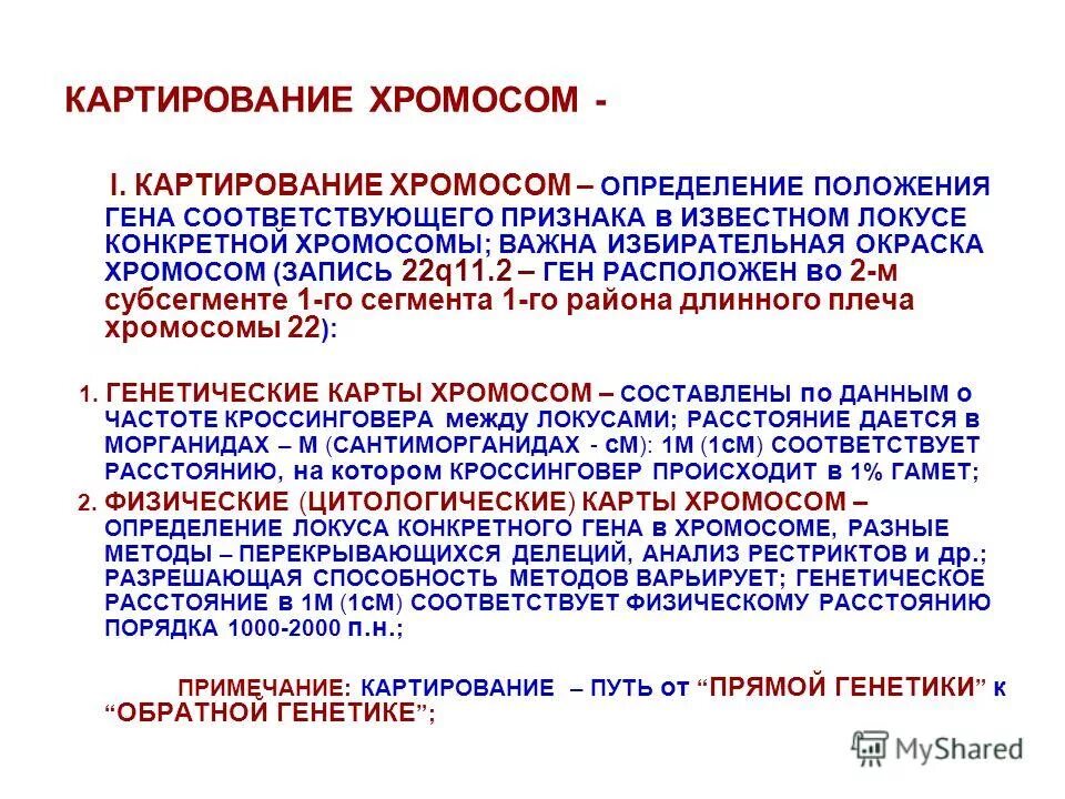 методы генетического картирования хромосом человека. поверстное картирование сердца. методика картирования. методы картирования хромосом человека. метод картирования.
