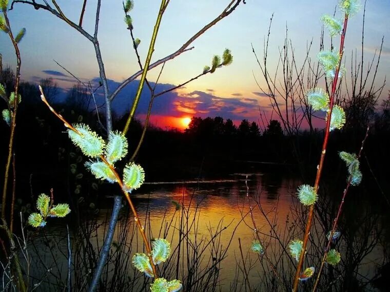 В марте день с ночью. Весенний закат. Весенний вечер. Вечер в апреле природа.