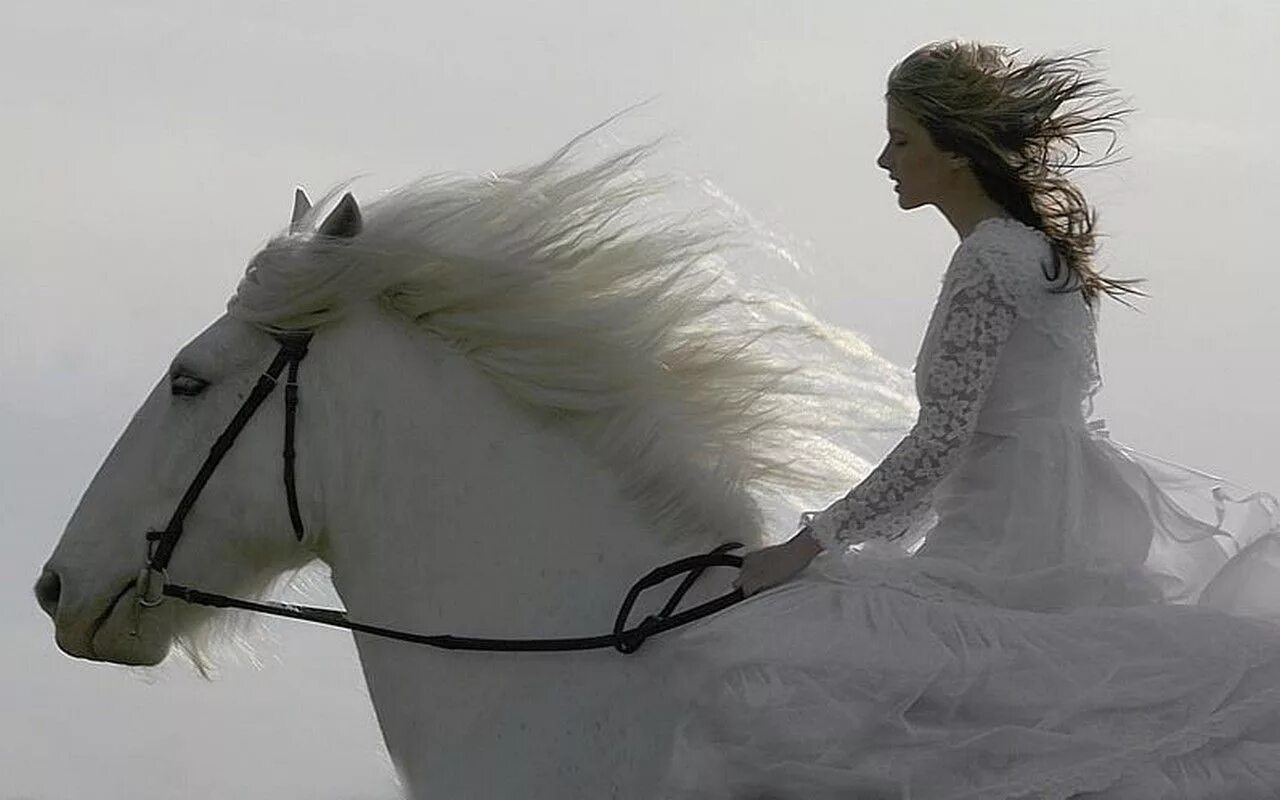 Белые кони кадышевой. Белый конь. Девушка на белом коне. Девушка и белая лошадь. Белая лошадь с девочкой.
