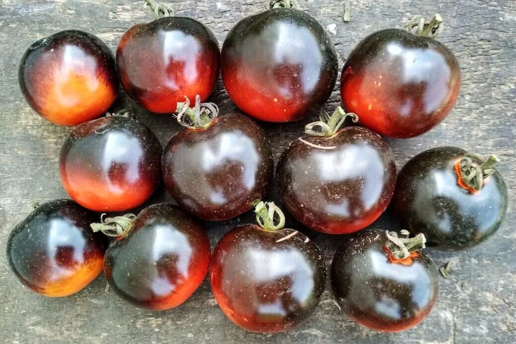 Лучшие черные томаты. Томат черная гроздь. Томаты черная гроздь ф1. Помидоры сорт "черная лоза". Томат черная гроздь f1.
