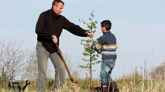 Отец и сын сажают дерево. Мужчина и ребенок сажают дерево. Дед с внуком сажают дерево. Мужчина сажает дерево.