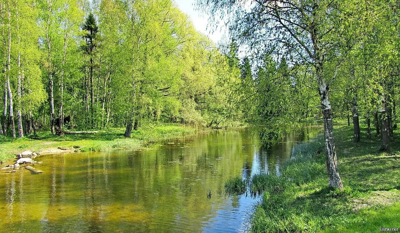 Весенние пейзажи России.