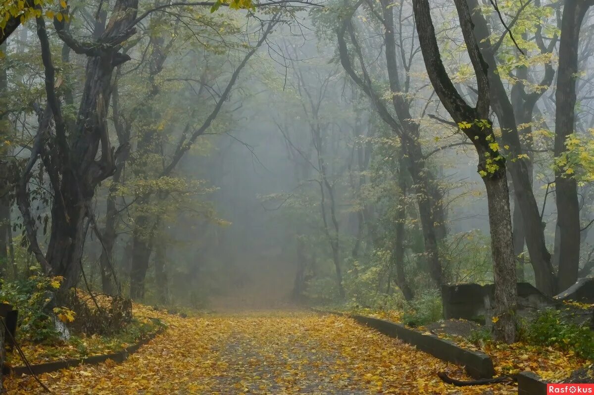 Железноводск октябрь. Железноводск в октябре фото. Железноводск в октябре. Утро октября. Погода в Железноводске в октябре.