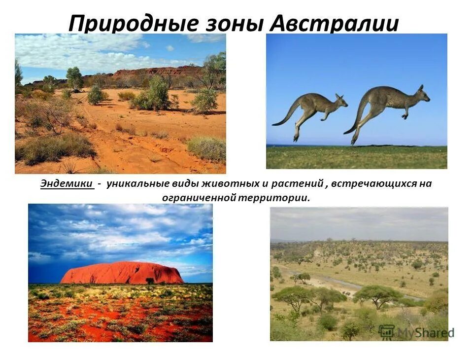 природные зоны австралии таблица 7 класс география. животные зоны австралии. природные зоны австралии. сумчатые животные австралии презентация. природные зоны австралии.