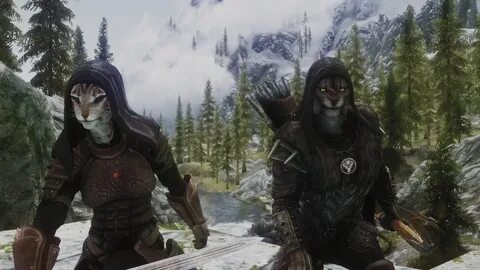Skyrim fandom