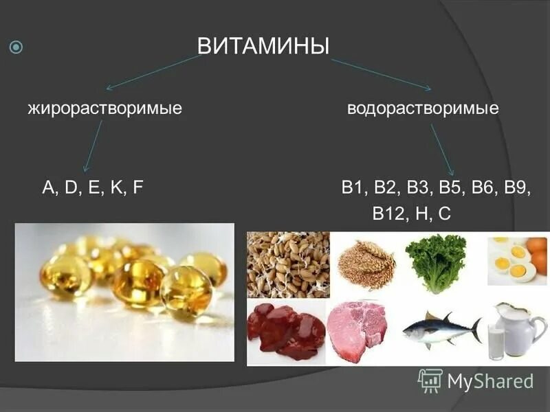 Витамин в1 жирорастворимый. Витамины жирорастворимые и водорастворимые и водорастворимые. Водорастворимые и жирорастворимые витамины. Липорастворимые вещества.