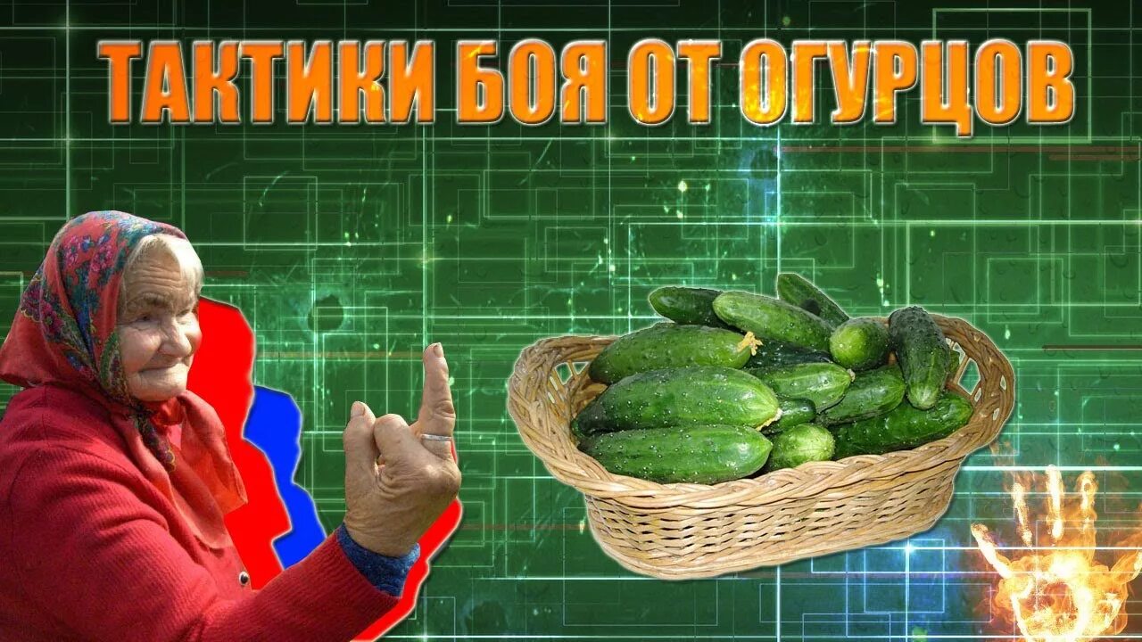 Песня про огурчики. Прикольный огурец. Огурец прикол. Привет огурец. Мемы про огурцы.