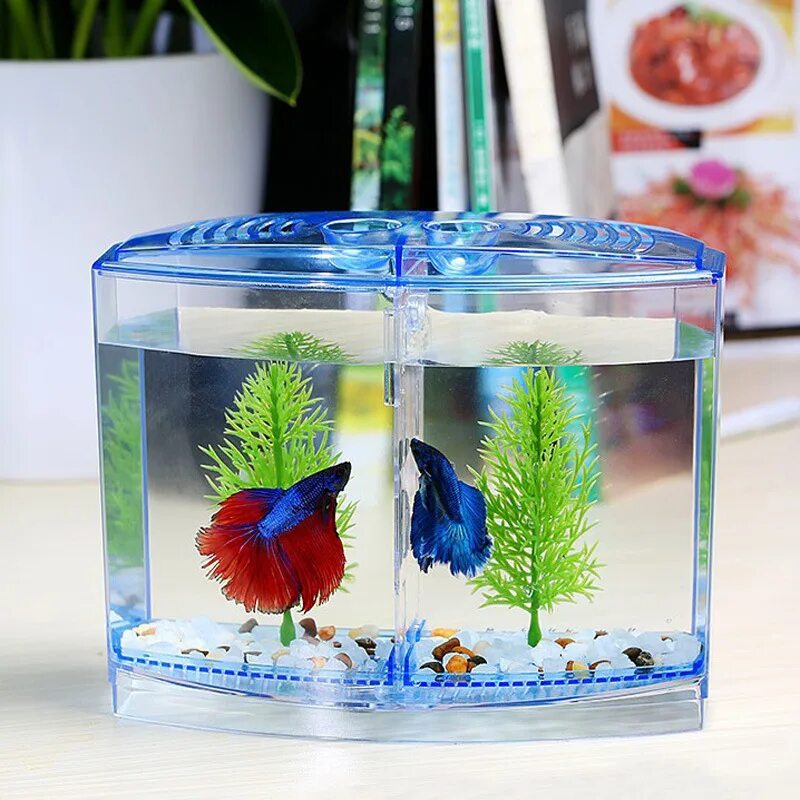 Какие рыбки могут жить одни. Aqua Box Betta 5,7л. Аквариум Betta. Мини Бетта аквариум мва3. Аквариум Box Betta 1.3.