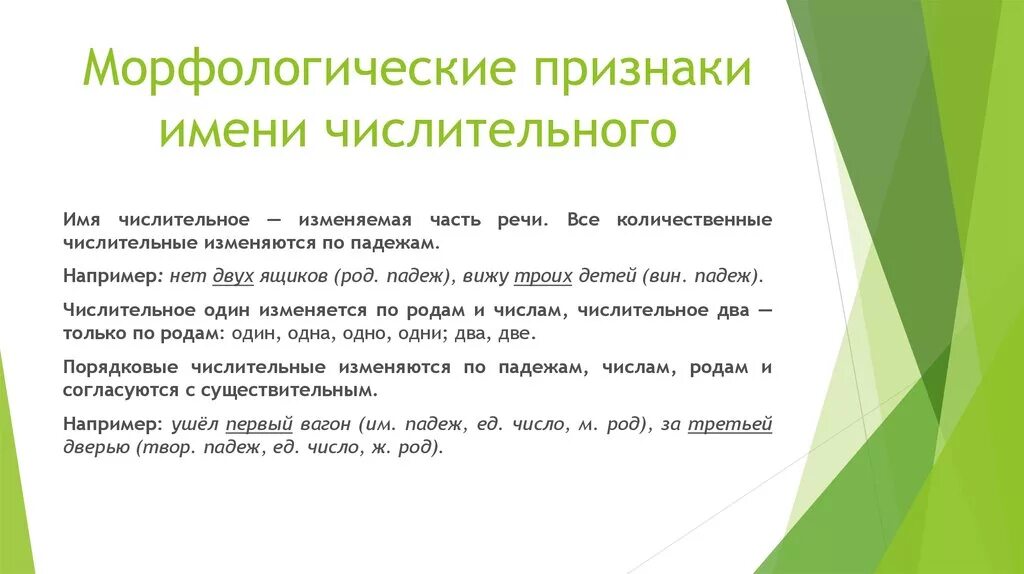 Морфологический анализ числительного 6. Морфологические признаки числительного. Морфологические признаки числительных. Признаки имени числительного. Морфологическая характеристика числительных.