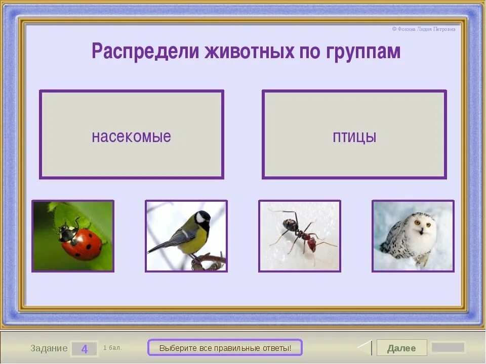 Распределение животных по группам. Классификация птицы животные и насекомые. Карточки группы животных. Группа животных птицы.