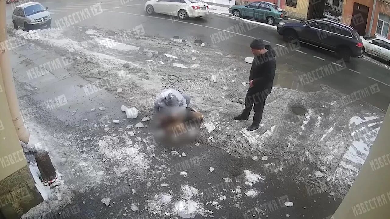 На собаку упала глыба льда. На девочку упала глыба льда